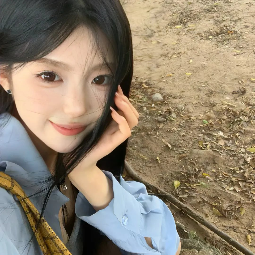 狗狗人生