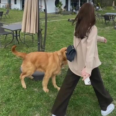 爱情大师